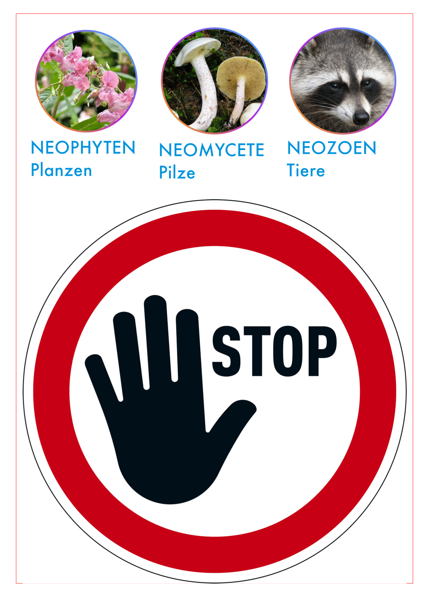 Neophyten | Biota – Bild 2