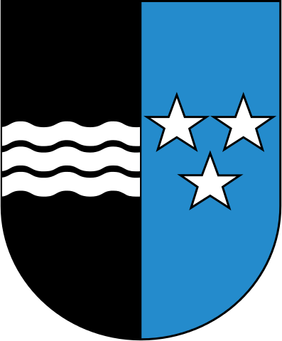 Geschichte des Vereins – Bild 2